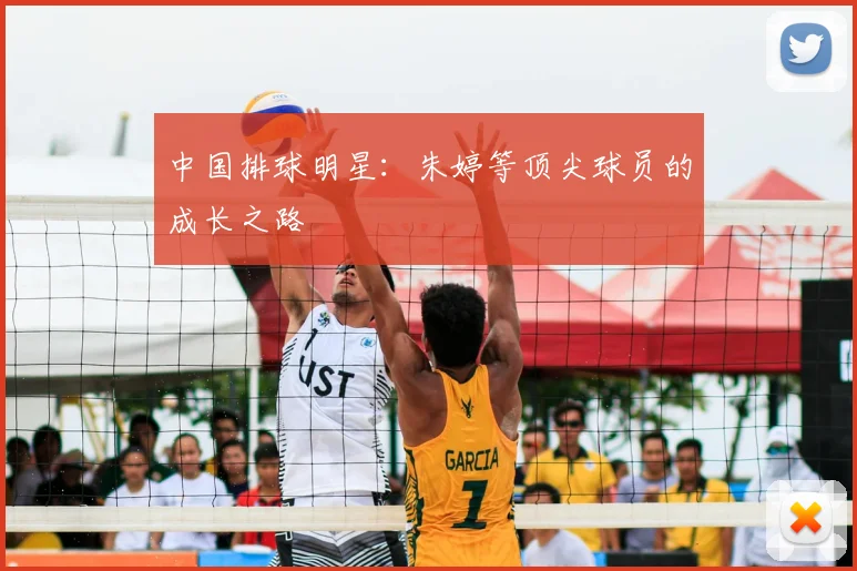 中国排球明星：朱婷等顶尖球员的成长之路