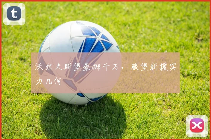 沃尔夫斯堡豪掷千万，狼堡新援实力几何