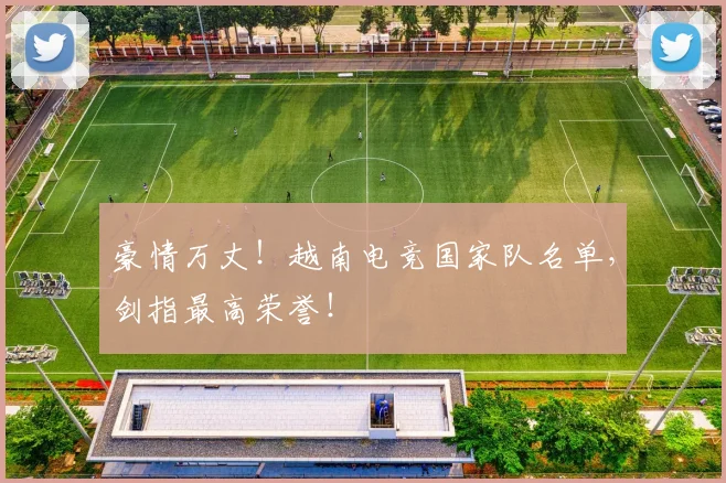 豪情万丈！越南电竞国家队名单，剑指最高荣誉！