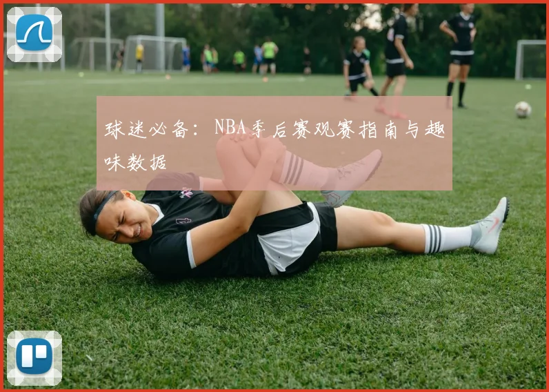 球迷必备：NBA季后赛观赛指南与趣味数据